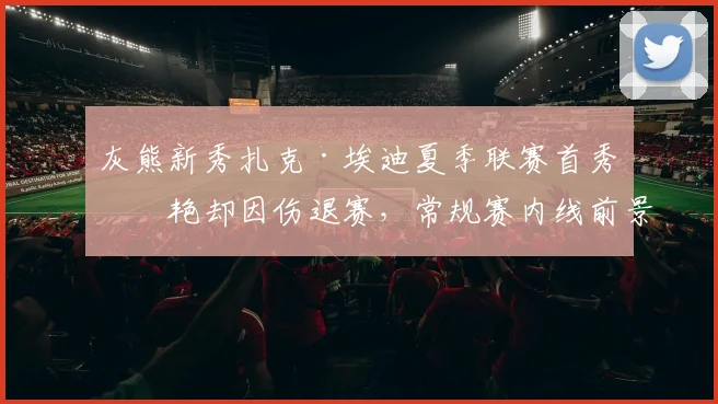 灰熊新秀扎克·埃迪夏季联赛首秀惊艳却因伤退赛，常规赛内线前景与球队适配解析