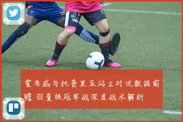 霍洛威与托普里亚站立对攻数据前瞻 羽量级冠军战深度战术解析