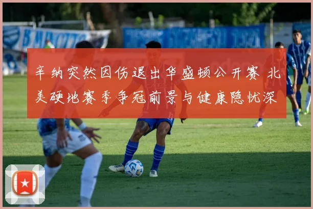 辛纳突然因伤退出华盛顿公开赛 北美硬地赛季争冠前景与健康隐忧深度分析