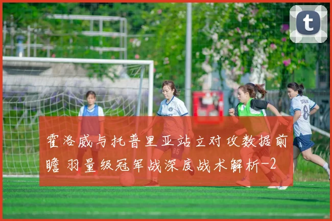霍洛威与托普里亚站立对攻数据前瞻 羽量级冠军战深度战术解析